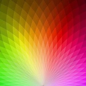 Meet your Posher, Beau